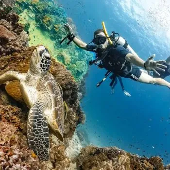 Scuba Diving Trip in Hurghada