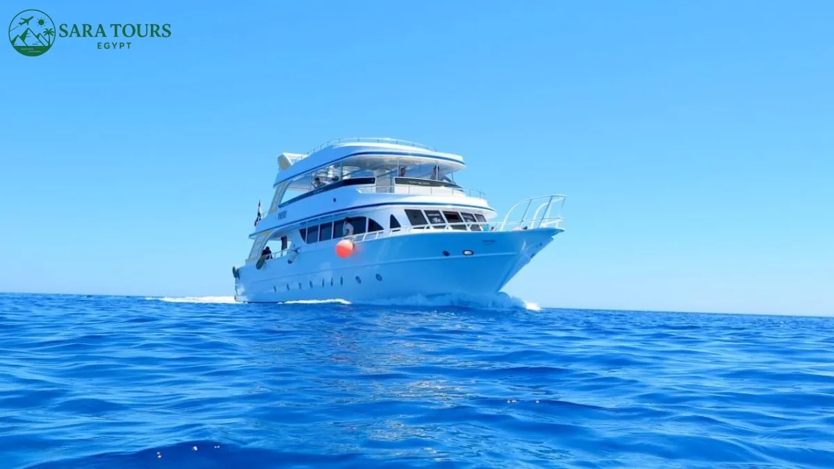 All-Inclusive Boat Trip from Hurghada with Snorkeling, Diving & Dolphin Watching