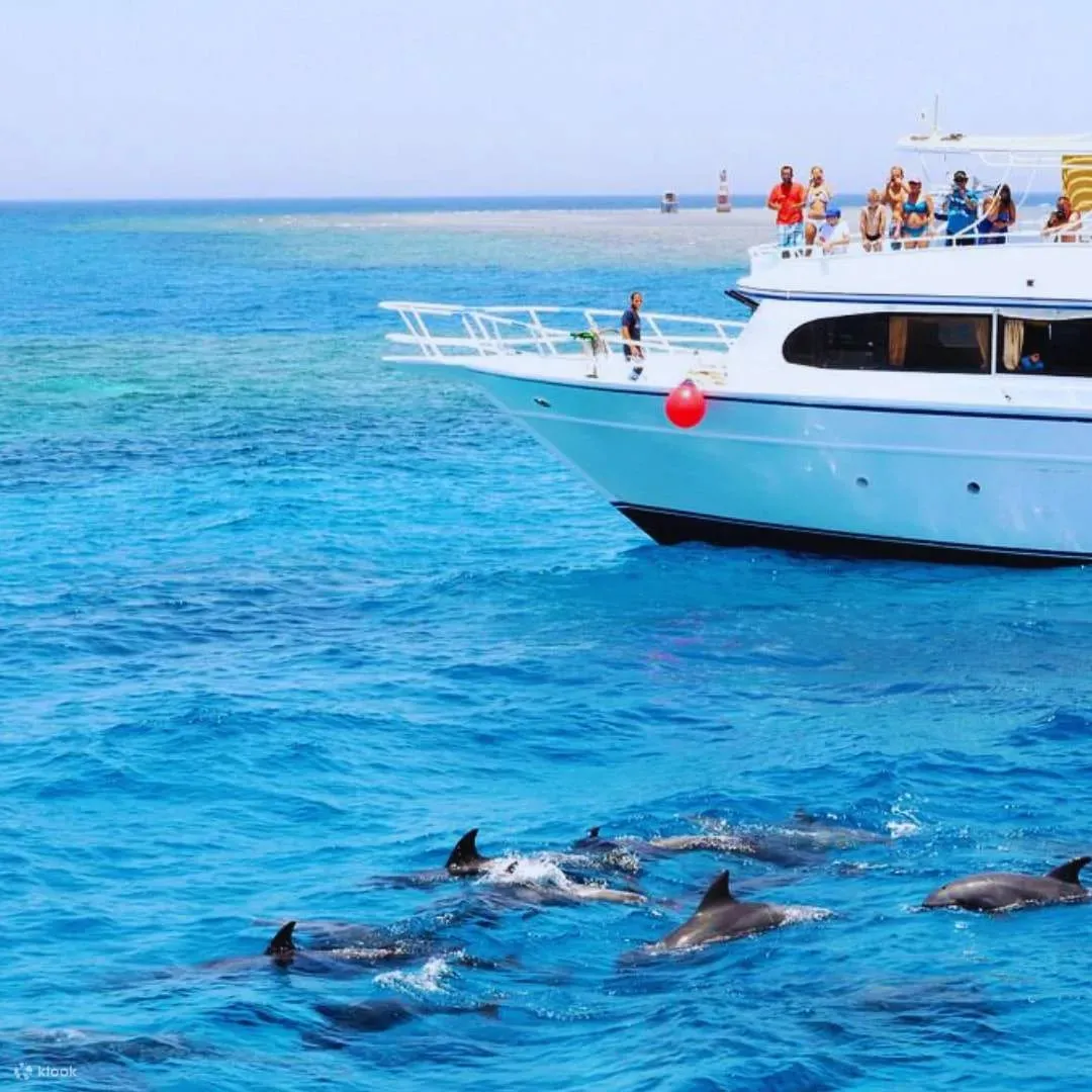 Dolphin House Snorkeling Trip from Hurghada