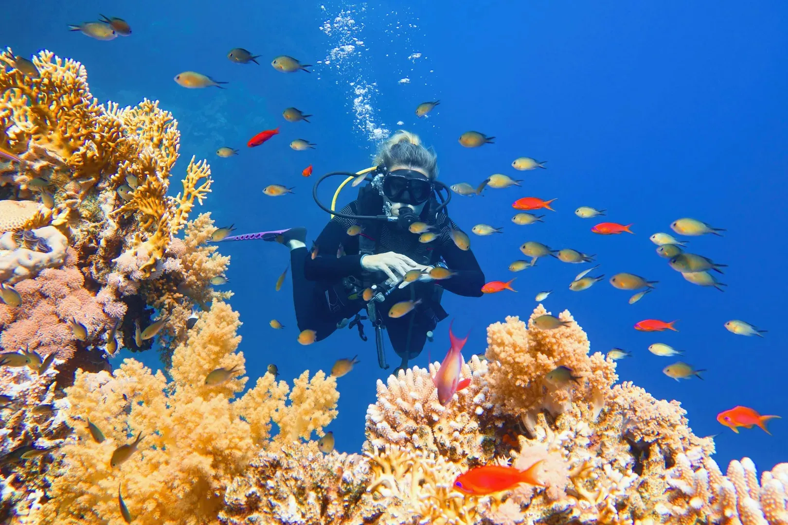Scuba Diving Trip in Hurghada