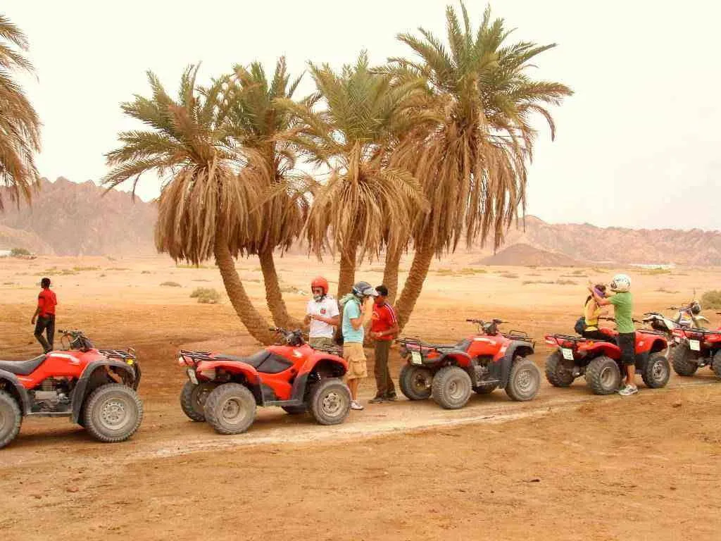 Desert Safari